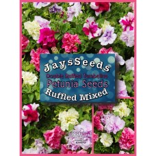 Double Ruffled Mixed Petunia Seed Packet & Free Mixed Carnation Seeds   